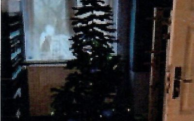 Juletræ og julepynt